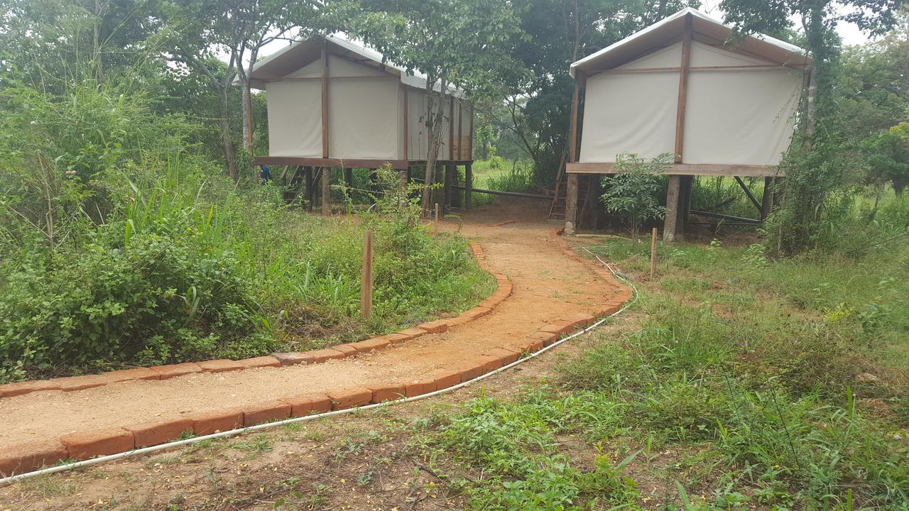 Asharo Sigiriya Villa Exterior photo